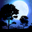 Icon of program: Nightfall Live Wallpaper …