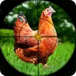 Icon of program: Chicken Hunting 2019 - Re…