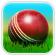 Icono del programa: Cricket 3D