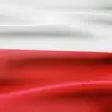 Icon of program: 3D Poland Flag Live Wallp…
