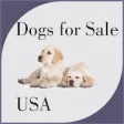 Icon of program: Dogs for sale USA