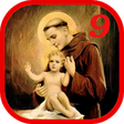 Icon of program: Saint Anthony of Padua No…