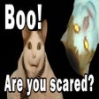 Icon of program: BOO! ARE YOU SCARED?
