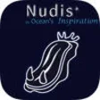 Icon of program: Nudibranches, by Reef Lif…