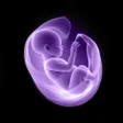 Icono de programa: Nubx: Gender Reveal Baby …