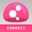 Icon of program: Check Point Capsule Conne…