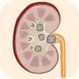 Icon of program: Kidney Stone Symptoms & T…