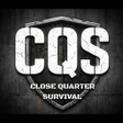 Icono de programa: CQS Performance