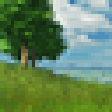 Icon of program: Grassland 3D Screensaver …