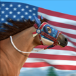 Icon of program: Rival Stars Horse Racing