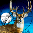 Icon of program: Deer Hunting American Sni…