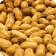 Icon of program: Peanut Recipes: Peanut bu…