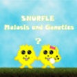 Icon of program: Snurfle Meiosis