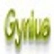 Icon of program: Gynius.com Mobile Search