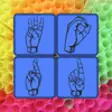 Icon of program: ASL Word Square Collectio…