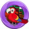 Icon of program: 807 Parrot Escape