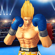 Icono de programa: Boxing Real Fight Punch B…