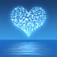 Icon of program: Adela's Starry Sea (resis…