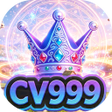 Icon of program: CV999RiseCue
