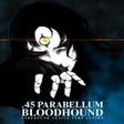 Icono de programa: .45 Parabellum Bloodhound
