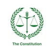 Icon of program: Nigerian Constitution 199…