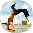 Icon of program: Capoeira