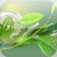 Icon of program: Leading IB