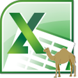 Icono de programa: Excel Convert Files From …