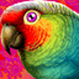 Icono de programa: Polyview 64-bit