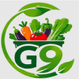 Icono de programa: GNine Express