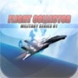 Icon of program: Flight Collector