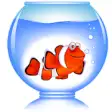 Icon of program: Marine Aquarium Fish Guid…