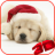 Icono de programa: Christmas Puppy Live Wall…