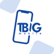 Icon of program: TBIG Mobile