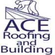 Icon of program: Ace Roofing