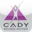 Icon of program: Cady Wellness Institute