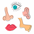 Icon of program: Body Parts Name for Kids