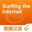Icon of program: Surfing the Internet - Ea…