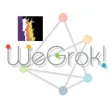 Icon of program: WeGrok! Berkeley -- What …
