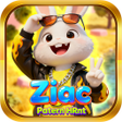 Icon of program: Ziac Patern HRnt