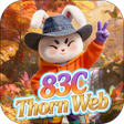 Icon of program: 83C Thorn Web