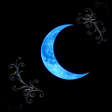 Icon of program: Anamoor