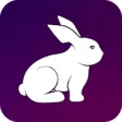 Icon of program: Rabbit VPN - Fast Hotspot…