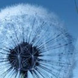 Icono de programa: Galaxy S3 Contracts Compa…