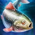 Icon of program: Gone Fishing