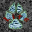 Icon of program: Critter Trax Lite