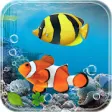 Icon of program: Aquarium Fish Live Wallpa…
