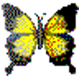 Icon of program: Temple Of Tangram