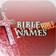 Icon of program: Bible Names - Baby Names …