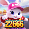 Icon of program: 22666Drain